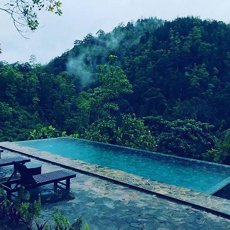 Jansen'S Bungalow Sinharaja Rainforest Retreat Kudawe Ngoại thất bức ảnh