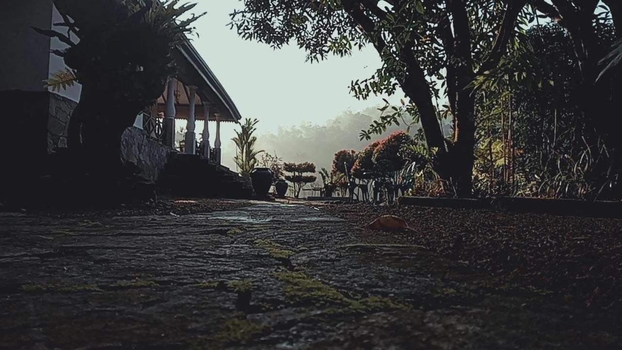 Jansen'S Bungalow Sinharaja Rainforest Retreat Kudawe Ngoại thất bức ảnh