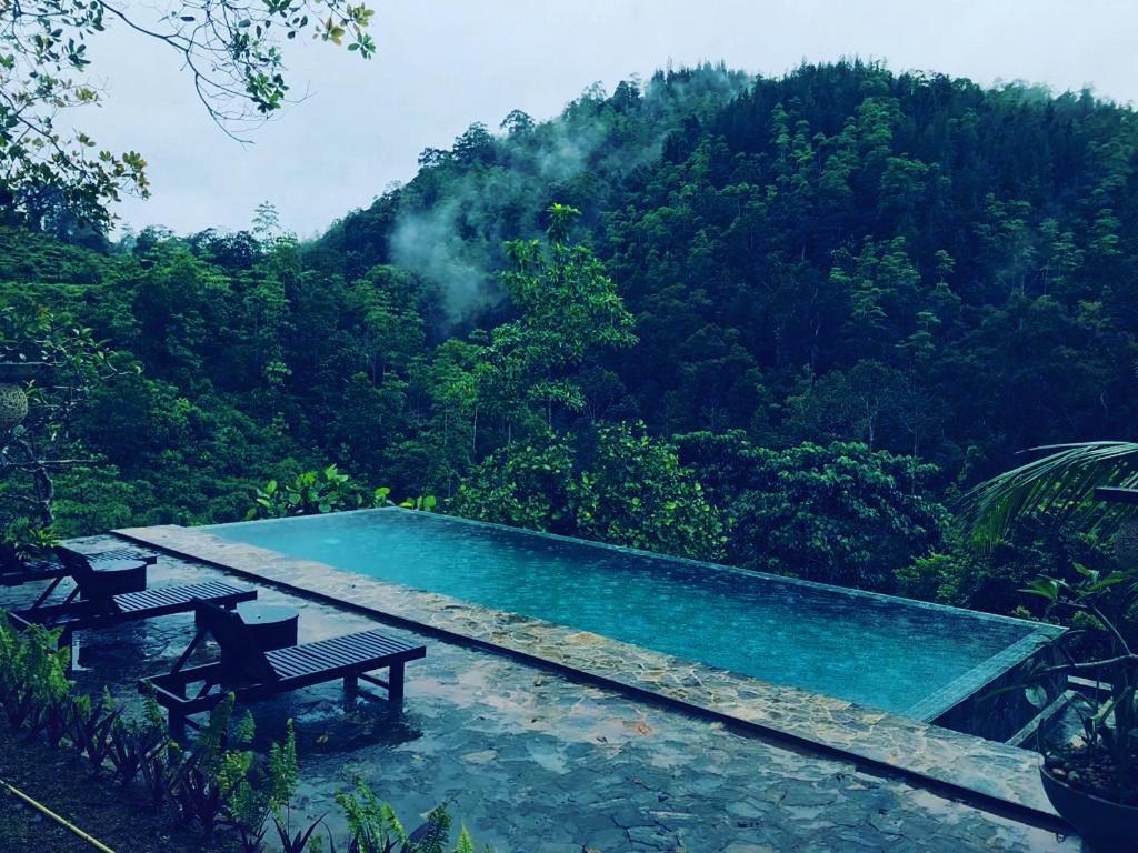 Jansen'S Bungalow Sinharaja Rainforest Retreat Kudawe Ngoại thất bức ảnh